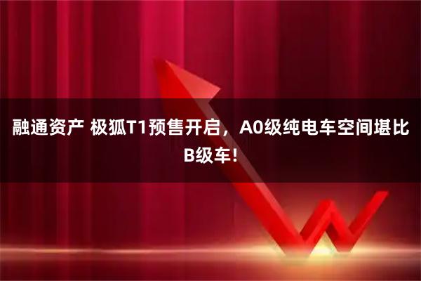 融通资产 极狐T1预售开启，A0级纯电车空间堪比B级车!